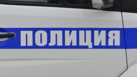 В Зеленоградске полицейские пресекли незаконную деятельность черных лесорубов, нарубивших деревья на  полмиллиона рублей